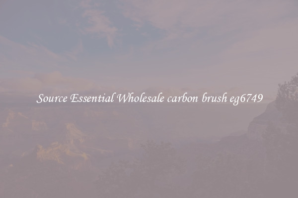 Source Essential Wholesale carbon brush eg6749