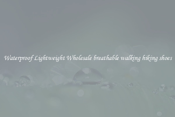Waterproof Lightweight Wholesale breathable walking hiking shoes