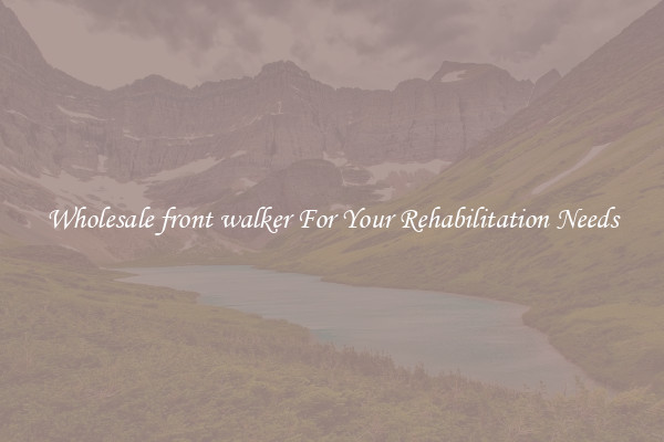 Wholesale front walker For Your Rehabilitation Needs