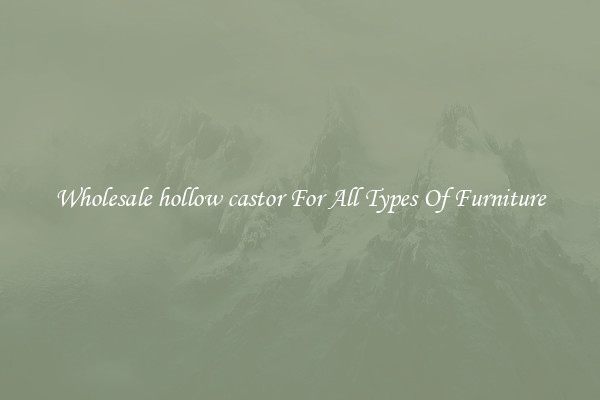 Wholesale hollow castor For All Types Of Furniture