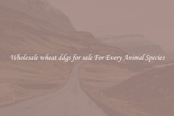 Wholesale wheat ddgs for sale For Every Animal Species