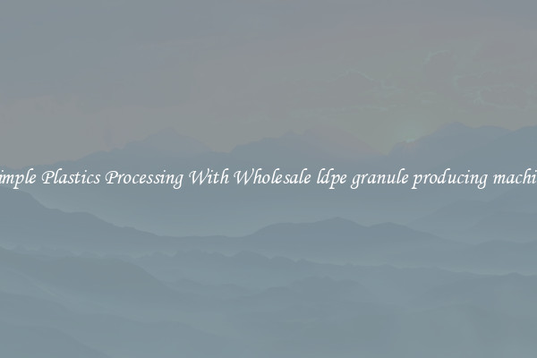 Simple Plastics Processing With Wholesale ldpe granule producing machine