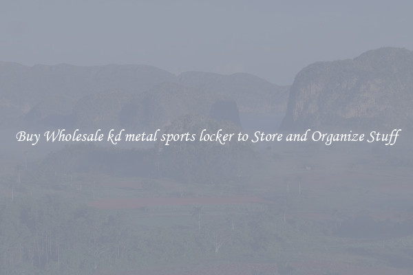 Buy Wholesale kd metal sports locker to Store and Organize Stuff
