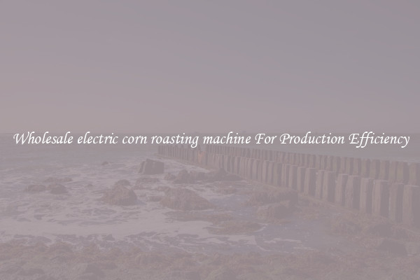 Wholesale electric corn roasting machine For Production Efficiency