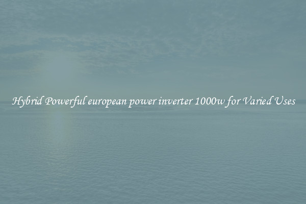 Hybrid Powerful european power inverter 1000w for Varied Uses