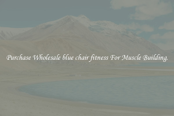 Purchase Wholesale blue chair fitness For Muscle Building.
