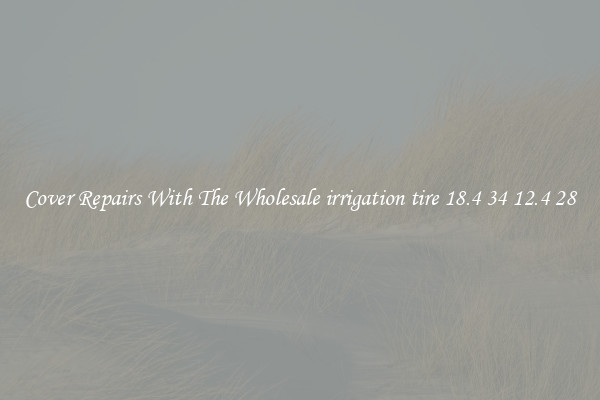  Cover Repairs With The Wholesale irrigation tire 18.4 34 12.4 28 