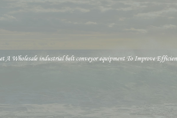 Get A Wholesale industrial belt conveyor equipment To Improve Efficiency