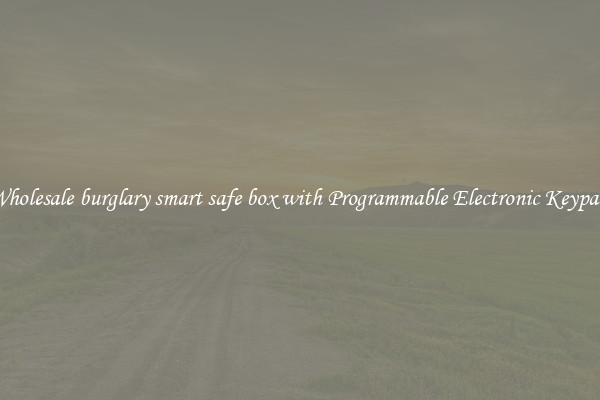 Wholesale burglary smart safe box with Programmable Electronic Keypad 