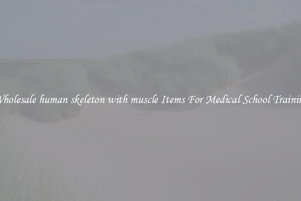 Wholesale human skeleton with muscle Items For Medical School Training