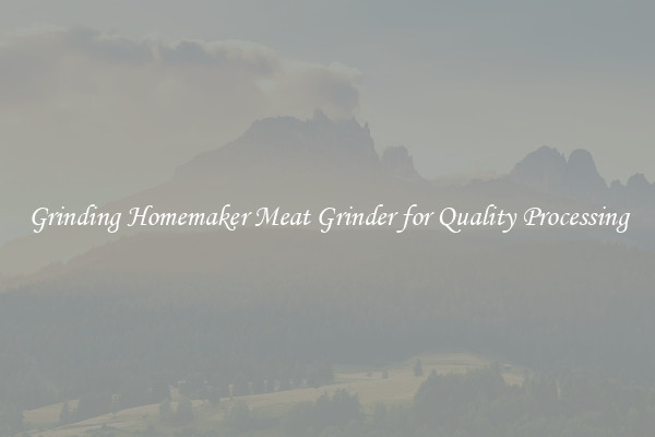 Grinding Homemaker Meat Grinder for Quality Processing