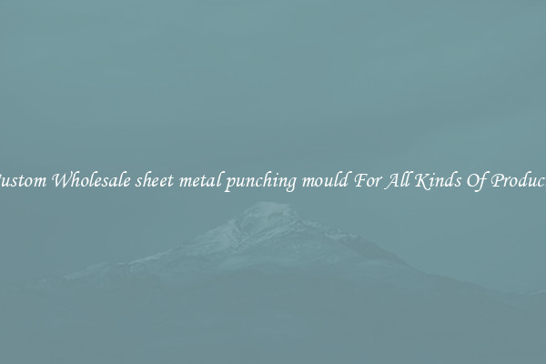 Custom Wholesale sheet metal punching mould For All Kinds Of Products