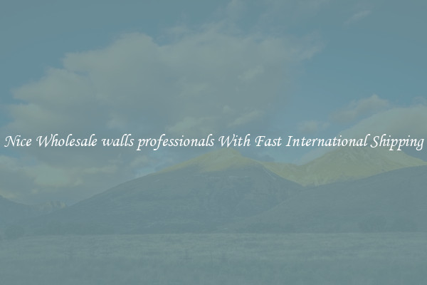 Nice Wholesale walls professionals With Fast International Shipping