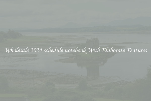 Wholesale 2024 schedule notebook With Elaborate Features