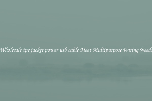 Wholesale tpe jacket power usb cable Meet Multipurpose Wiring Needs