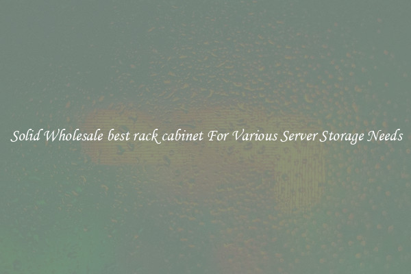 Solid Wholesale best rack cabinet For Various Server Storage Needs