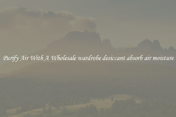 Purify Air With A Wholesale wardrobe desiccant absorb air moisture